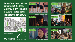 Galway Film Fleadh and Fair - Ardán Events and Screenings